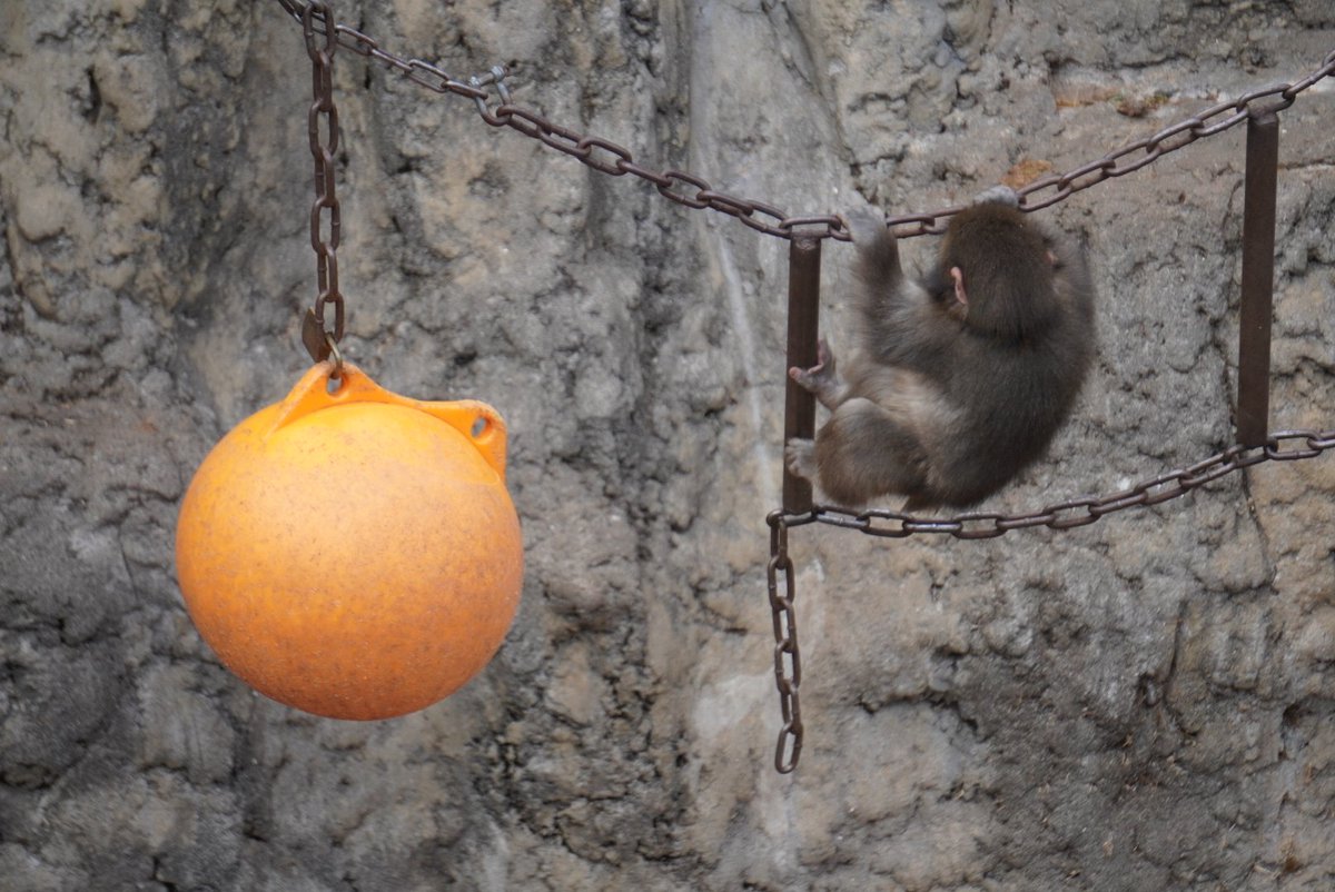 <a href="/charliebcurran/">Charles Curran</a> Hey girls, look at me! I'm doing my morning workout, one, two, one, two! 😅