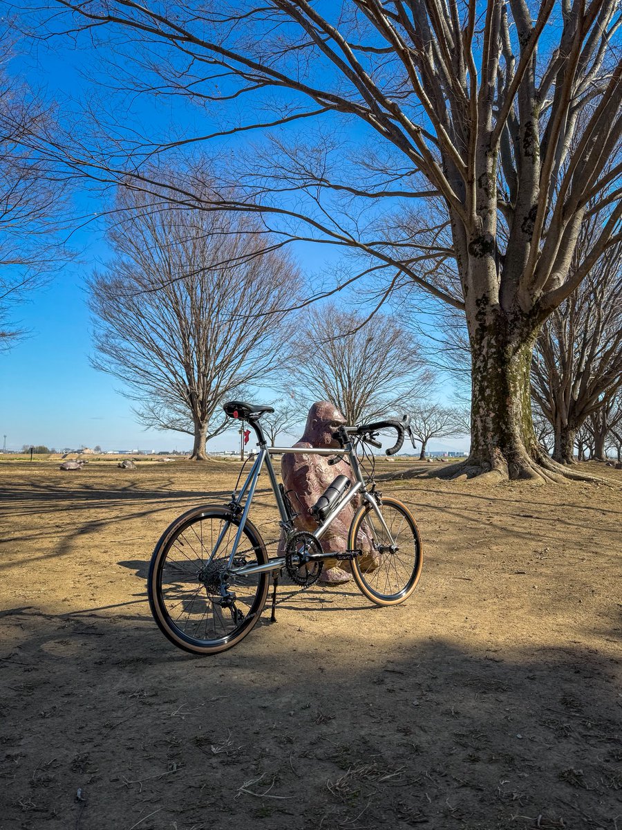 nobumillenia's tweet image. 江戸川を北上してきました😘

#minivelo
#Fujibikes
#Fuji
#HelionR

#関宿城