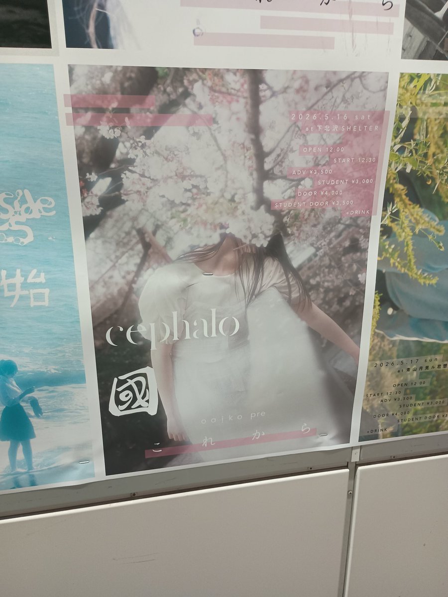 Oaiko
ナイスなイベントばかり開催するレーベル