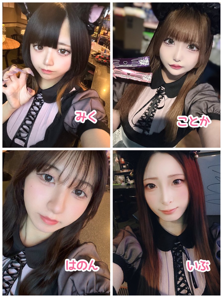 2月21日(土) -`📢イベント にゃんにゃんまつり🐈‍⬛🤍 フードイベント