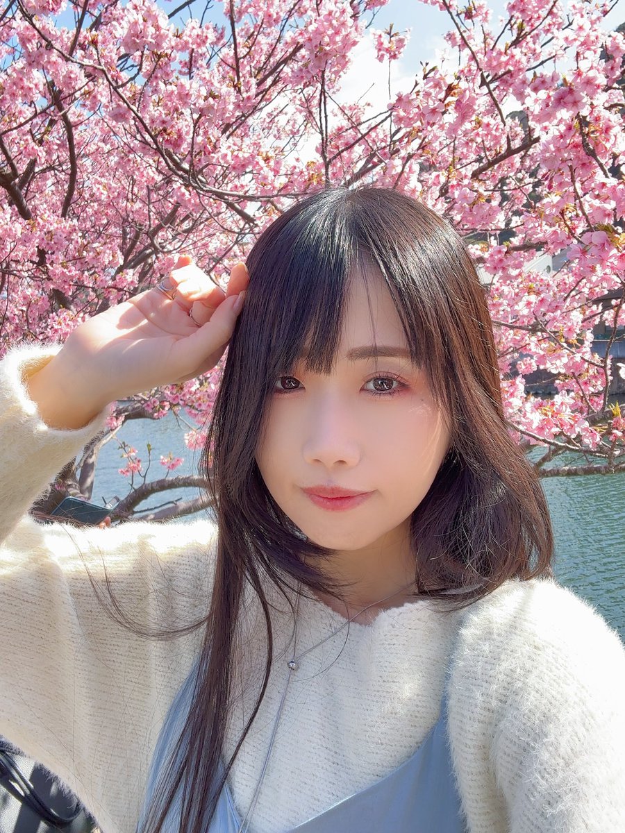 さ！く！ら！ 満開💯