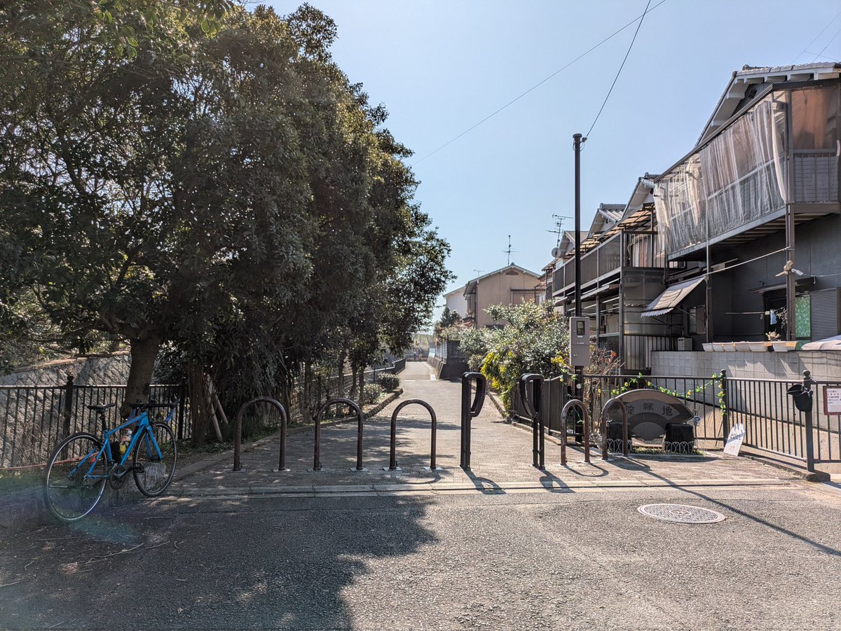 淀水路の河津桜
早咲きは満開だったり遅咲きは全くだったり…
水路沿いは今日、まだだなぁ
でした