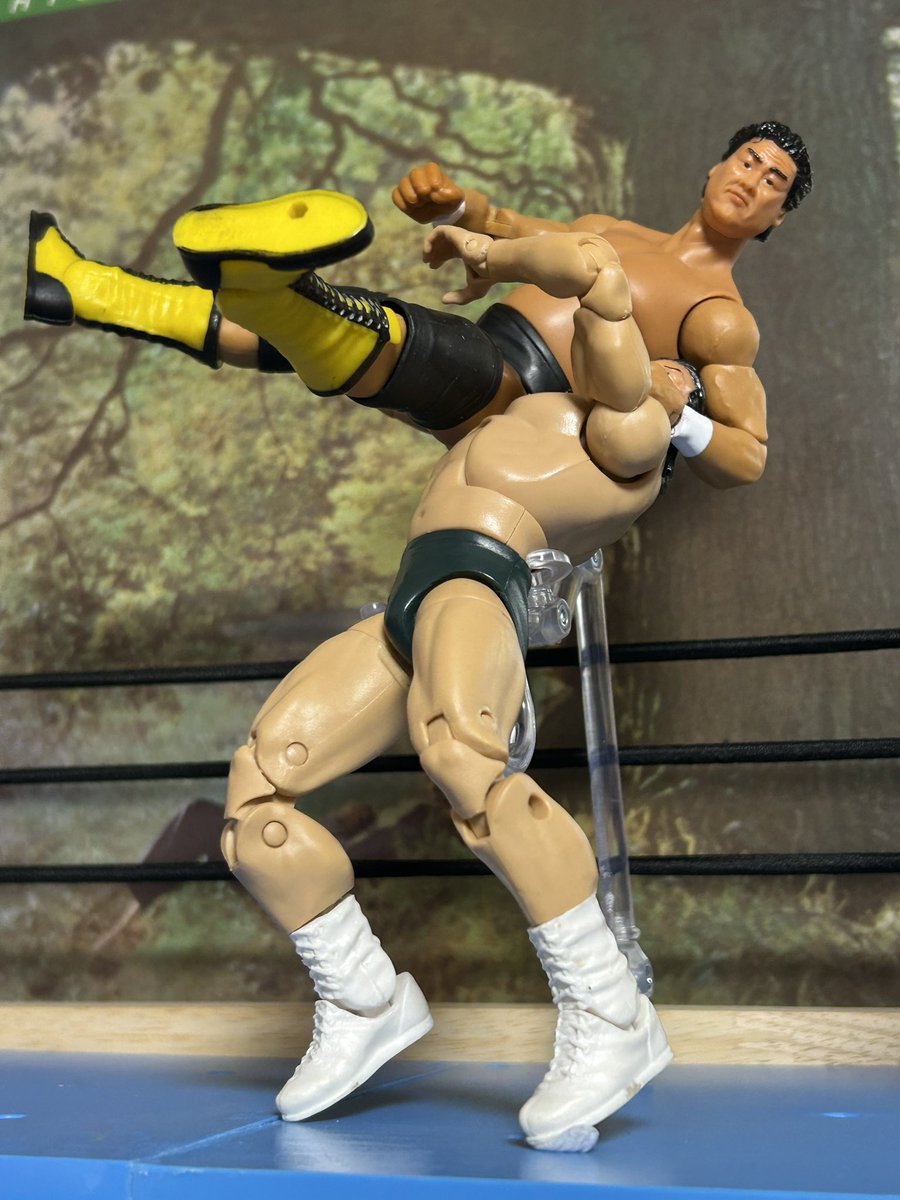 今日は何の日」1985年2月21日、大阪城ホール 長州力対天龍源一郎 初