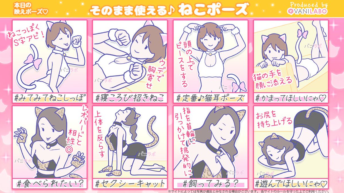 公式｜ポーズの教科書🐰📸 tweet media