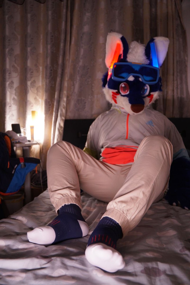 佫乐 HLE & Reggie 🔜 hifurry tweet media