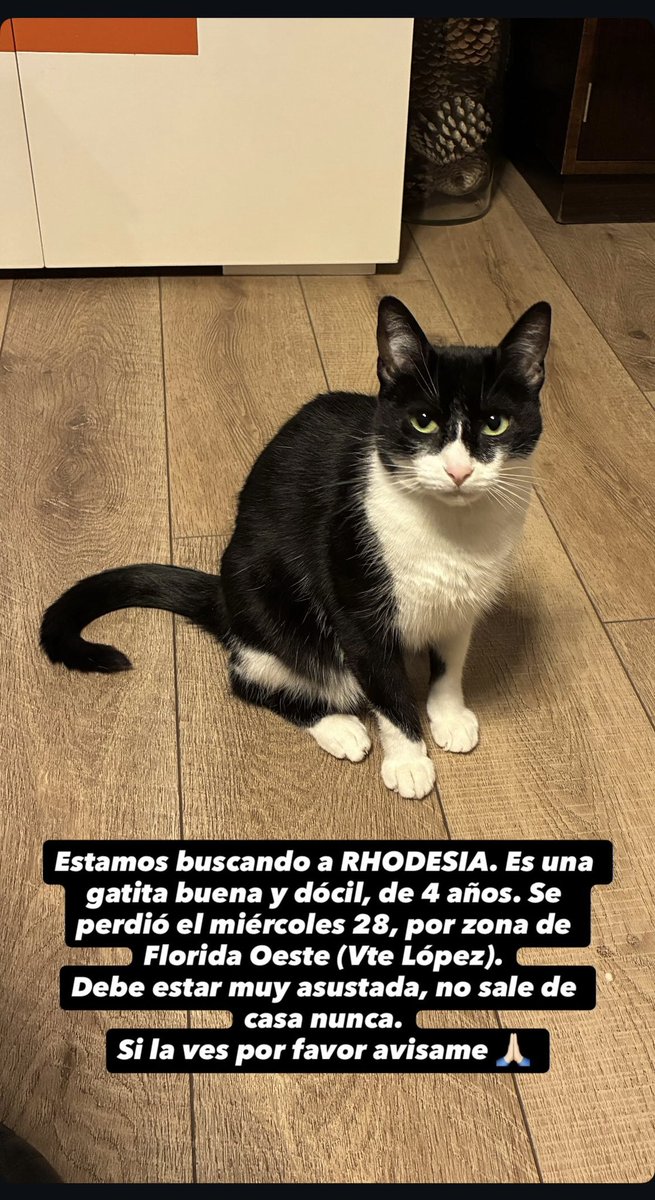 Noeversusnoe's tweet image. RT @fedecaste85: Te extrañamos demasiado bebita 😔