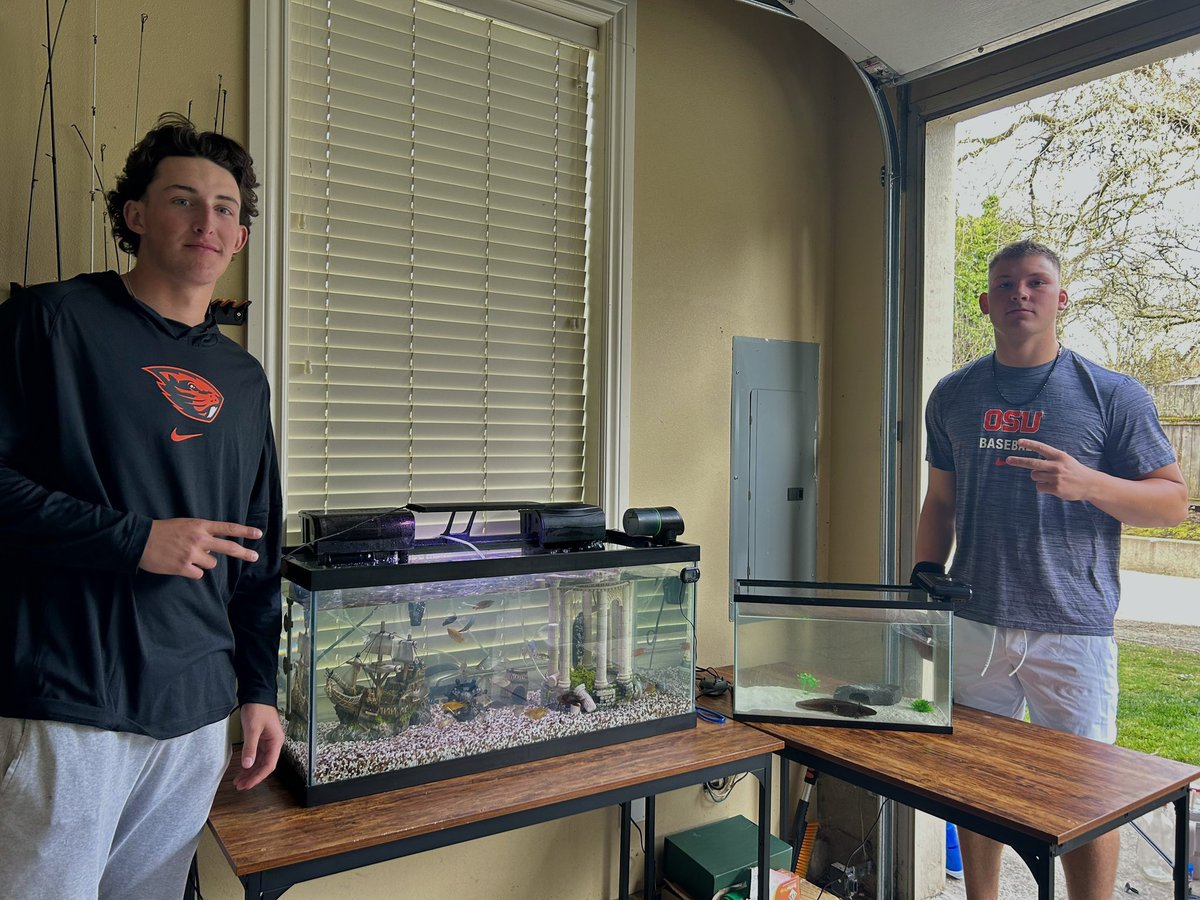 Oregon State out of context tweet media