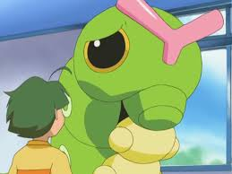 全国図鑑No.010
👉 キャタピー 🐛

まさかの初代むしポケモン。

みんなは何！？教えてー🔥😎  
#自分の誕生日と同じ図鑑Noのポケモン #ポケモン #イイネイヌ
 #自分の誕生日と同じ図鑑Noのポケモン