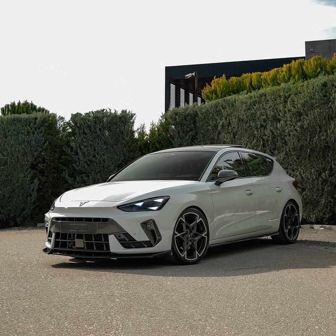 You 🇩🇿 tweet media