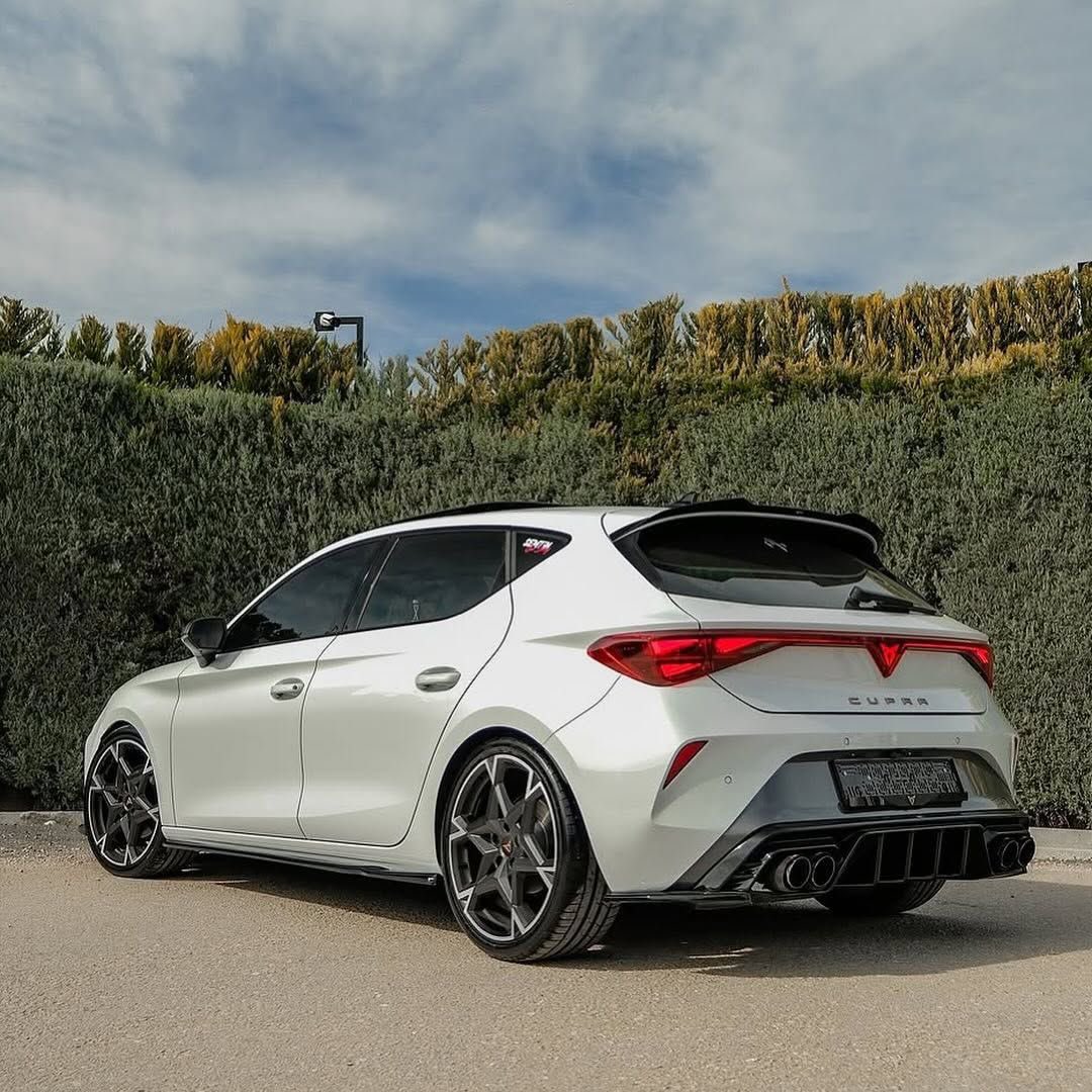 You 🇩🇿 tweet media