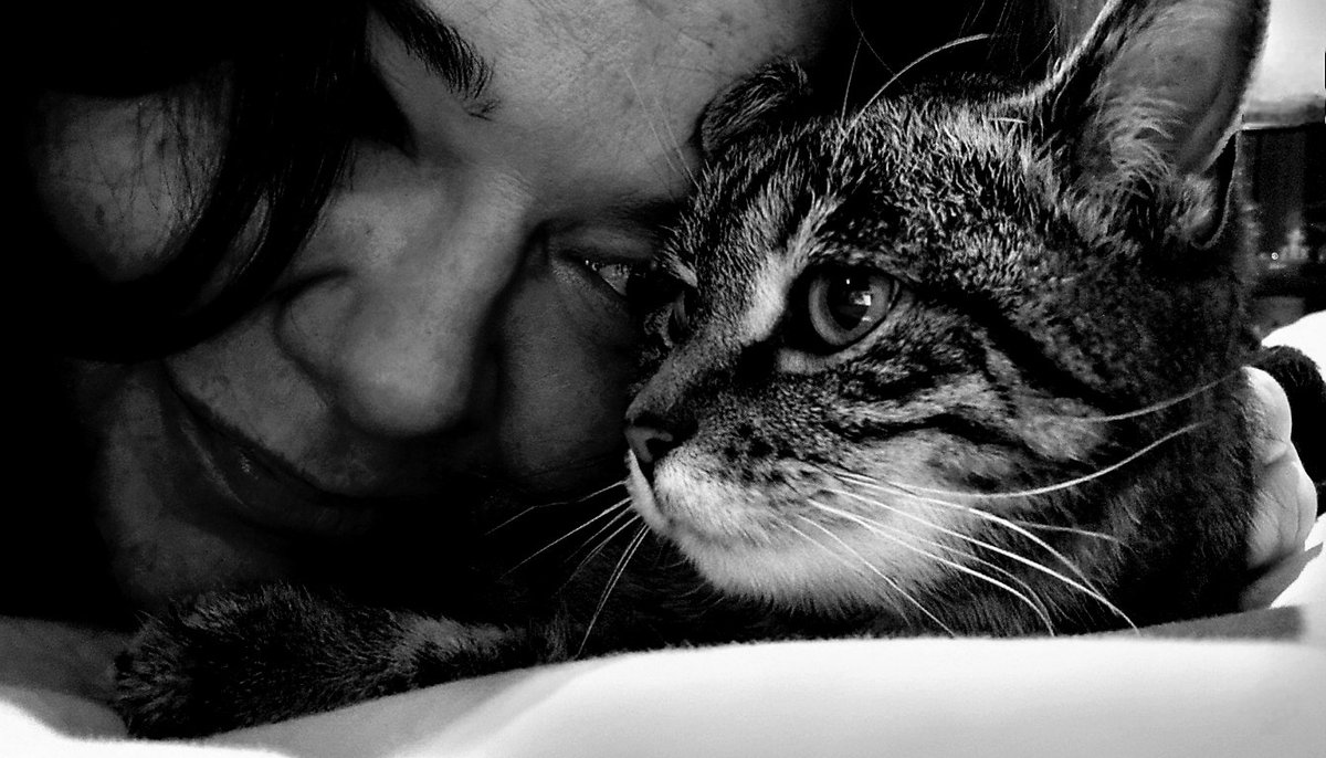 Bonjour, 
Bon ᓚᘏᗢturday 😘
Take care ❤︎