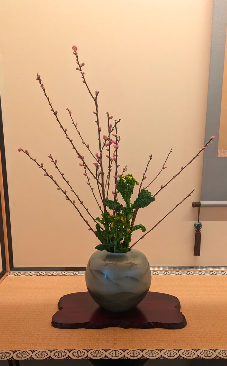 箱館奉行所【公式】 tweet media