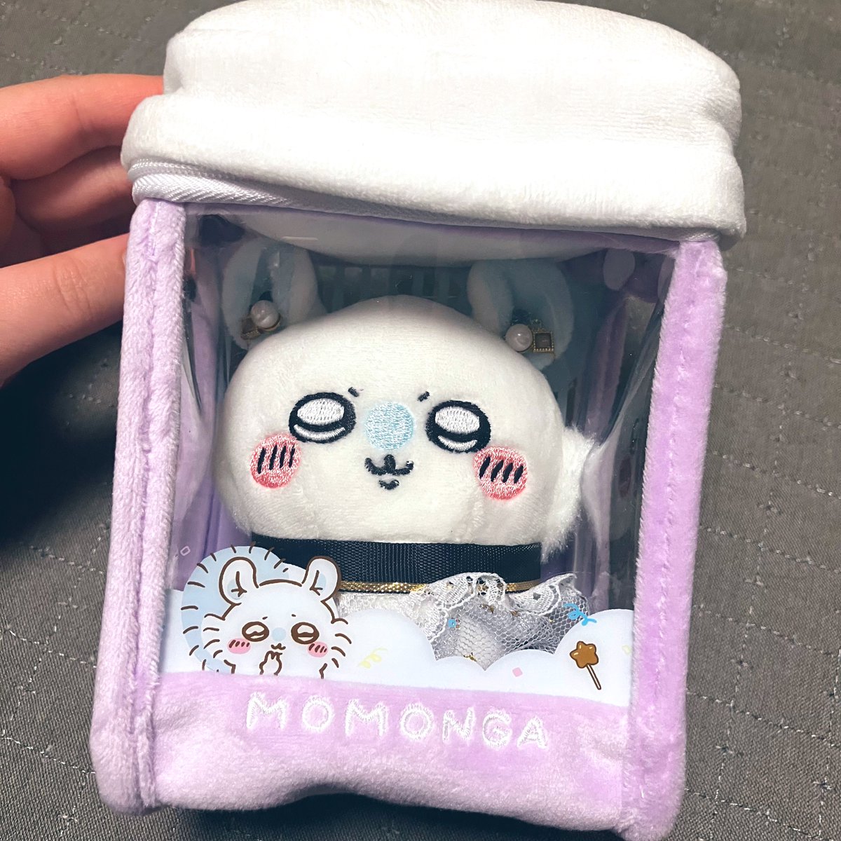 ちゃぬ tweet media