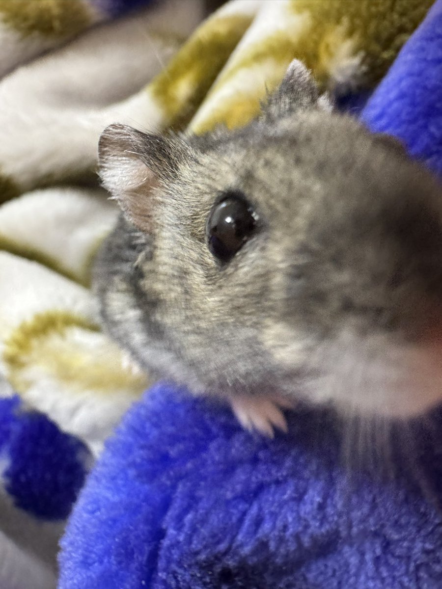 シャッターの瞬間に急接近