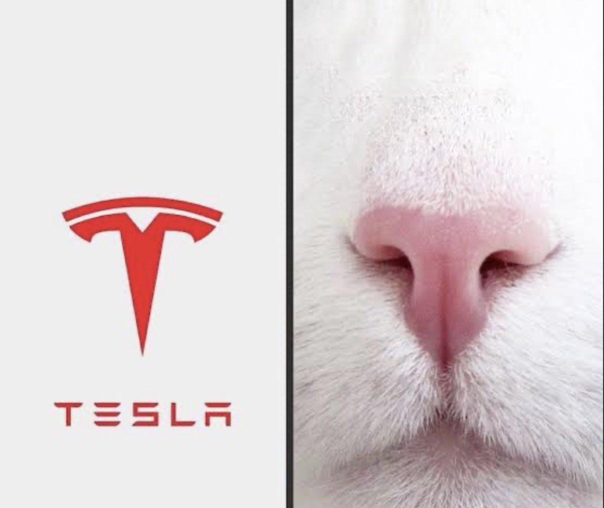 <a href="/officialcatcoin/">Official Catcoin</a>