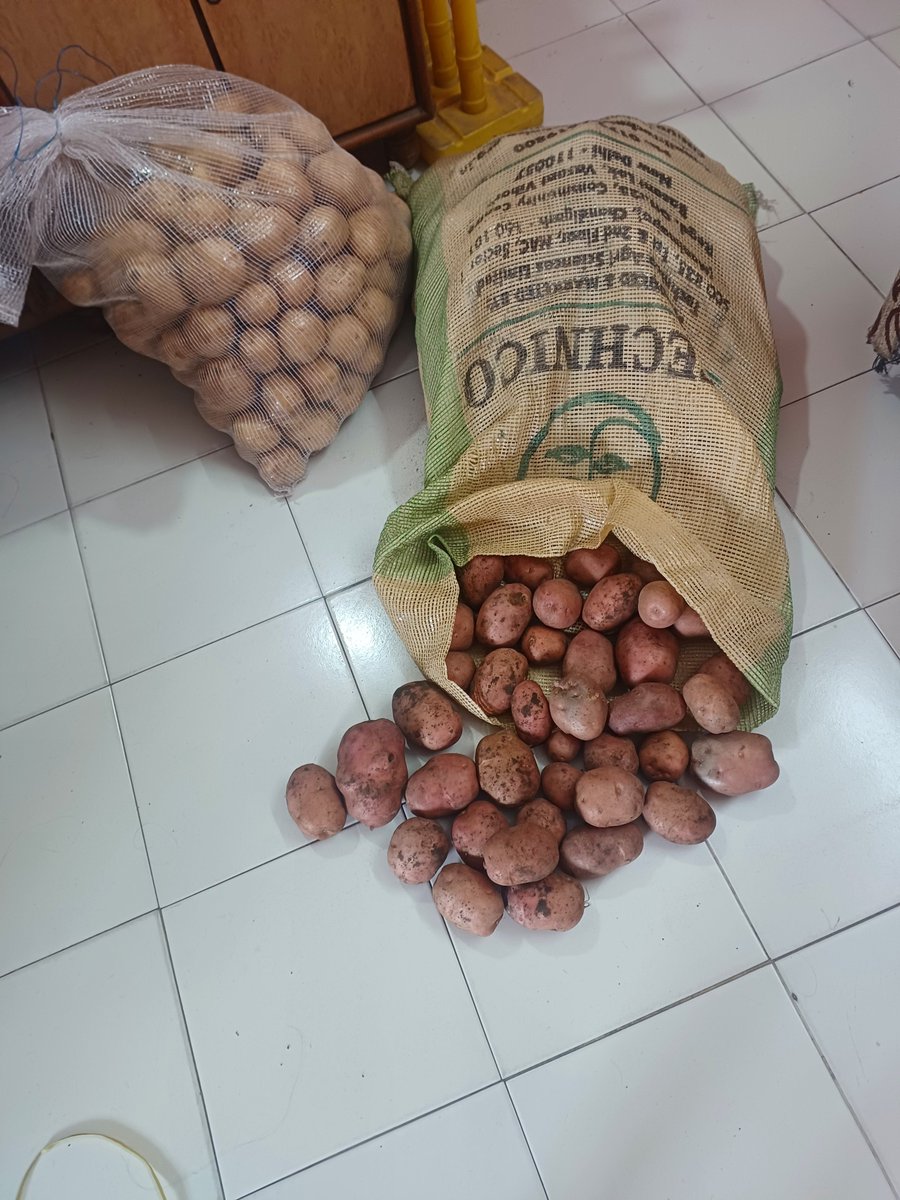 हमारे एक मित्र हैं गुजरात के साबरकांठा में रहते हैं

 1000 से ज्यादा एकड़ में पेप्सीको और बालाजी वेफर के लिए कांटेक्ट फार्मिंग पर आलू उगाते  हैं

हमारे मित्र डॉक्टर हैं तो वहीं अपना क्लीनिक अपने गांव के चौराहे पर खोल दिए हैं

 पेप्सिको कंपनी उन्हें आलू का एक खास बीज  देती है जो