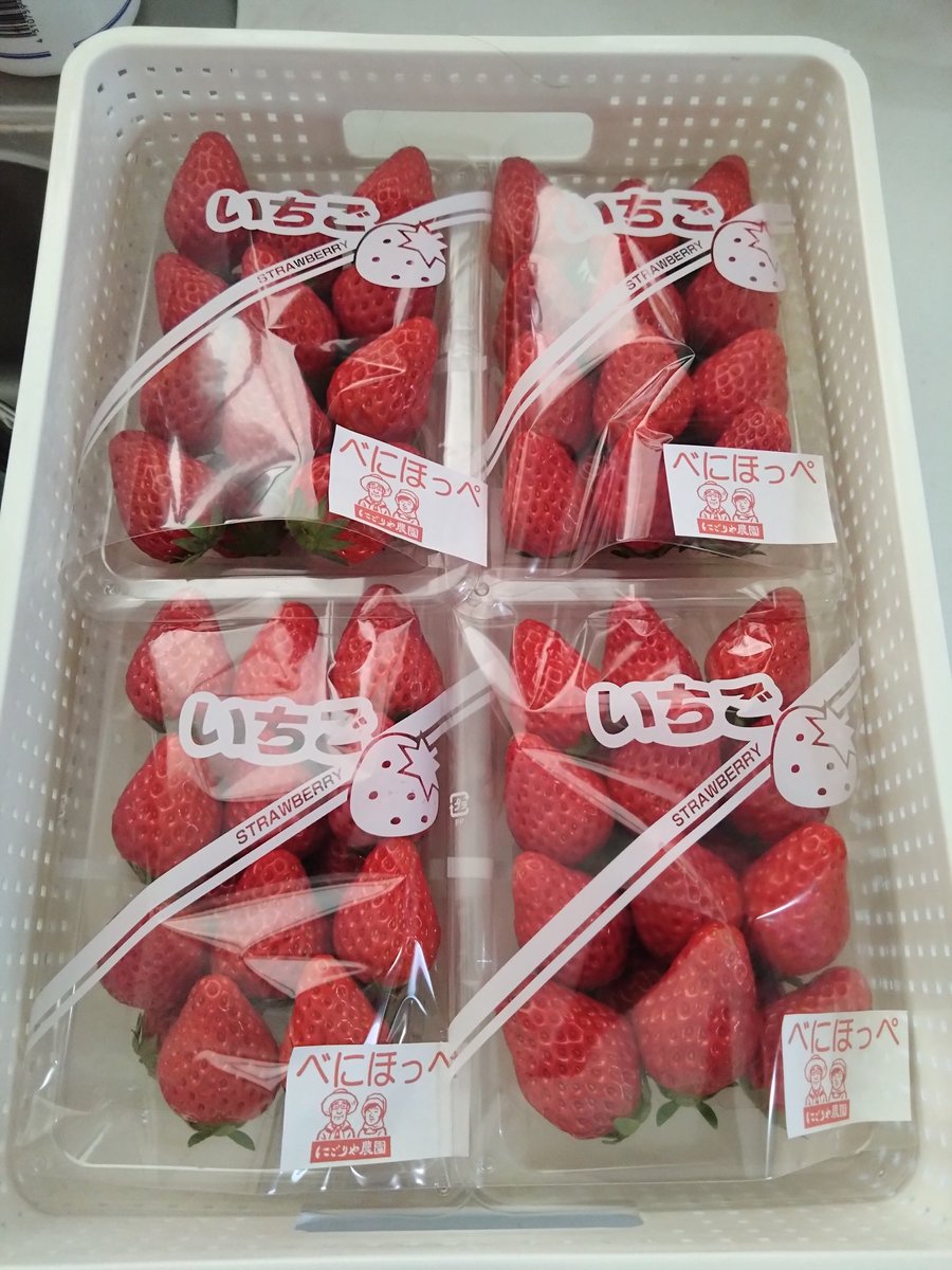 やっぱりココのいちごがベター🍓 朝どれ
