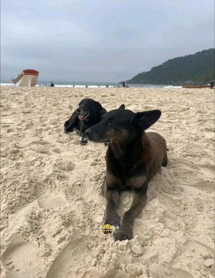 Lola 🧠🎯 tweet media