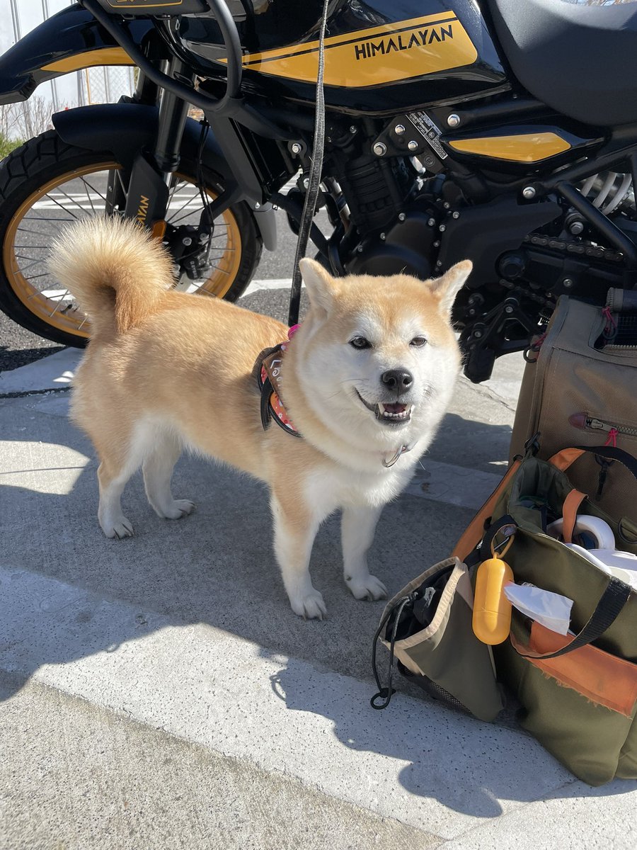 くまごろ (@kumagoro_J) / Posts / X