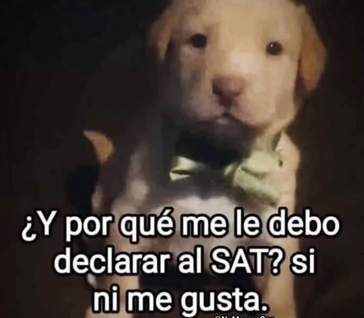 #ViernesdeCrueldad
<a href="/DenDeLaFuentee/">Den de la fuente</a>