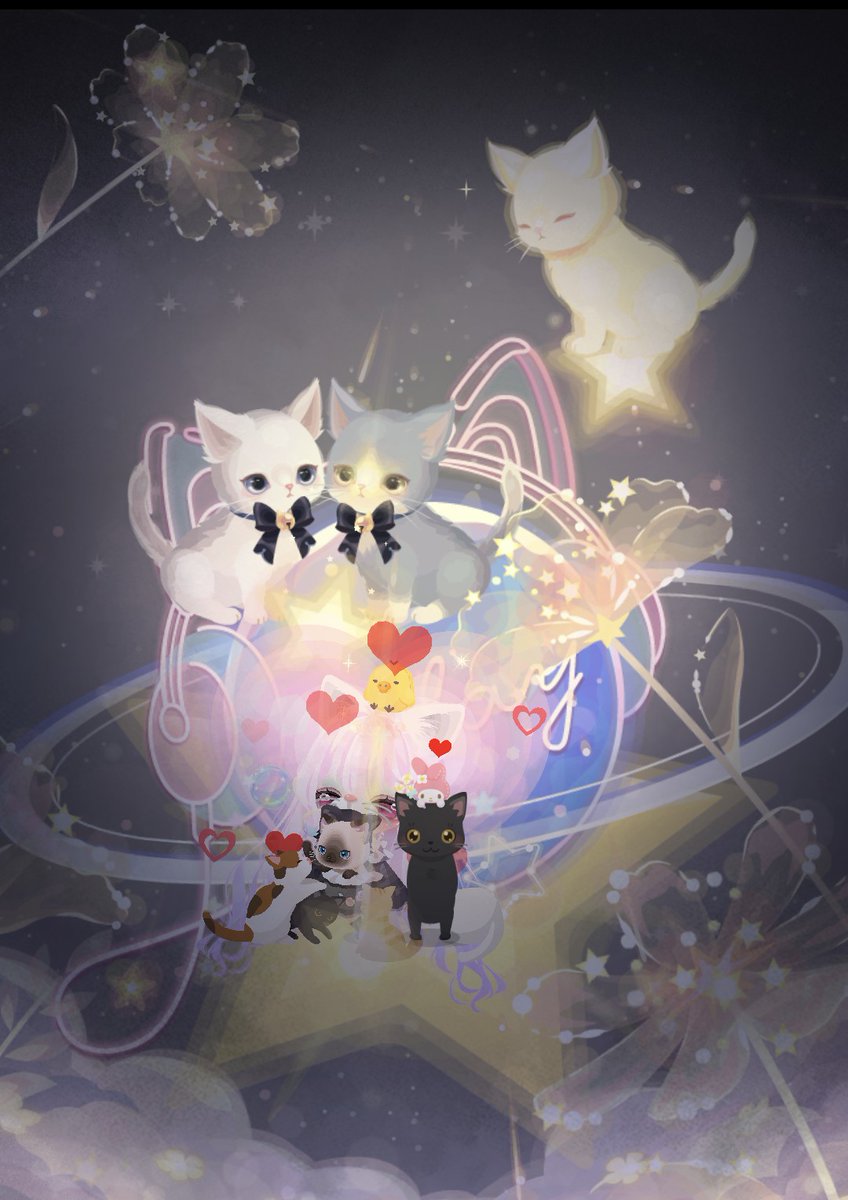ニャンコロ来ないの？😿