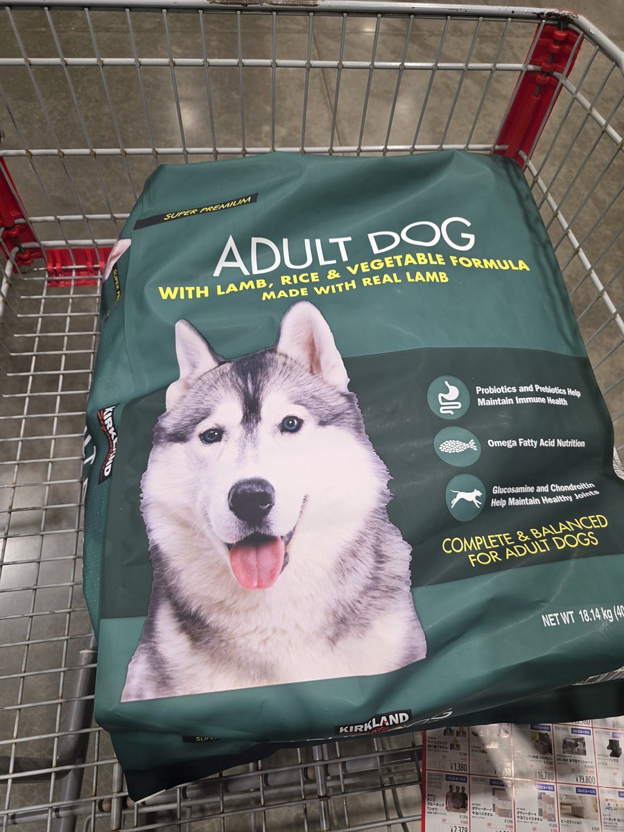 はるこっこ (@inin87c) / Posts / X