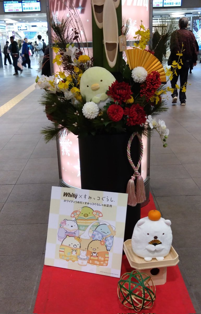 lucakisaragi's tweet photo. 春を感じる陽気ですね〰️
遅くなりましたが今年もよろしくお願いします🙇
2025年もなんとか50000pp達成できました✨寒いと動けないのでまだ5000ppですが、今年もANAの搭乗続けてみます✈ https://t.co/cM3sqGU0qv