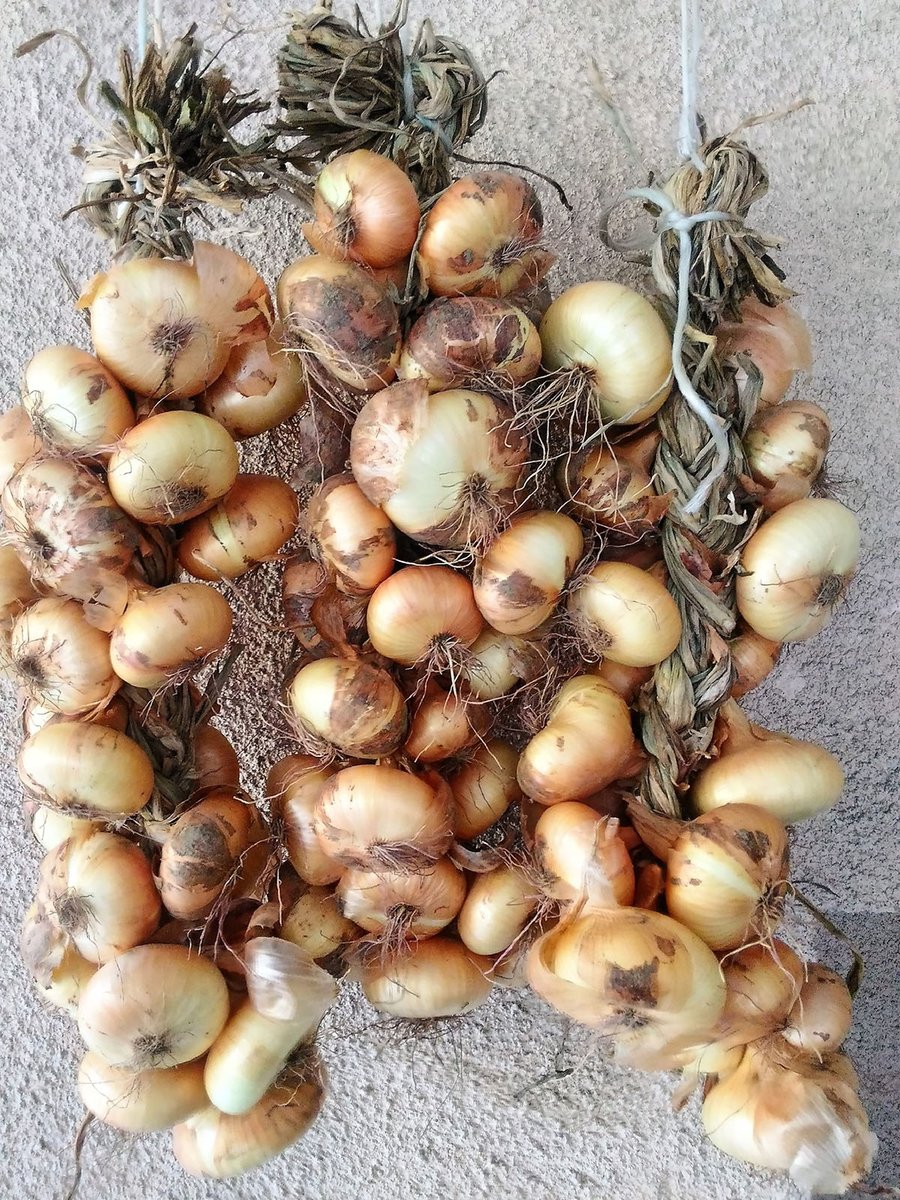 Laboratorio Alte Valli tweet media