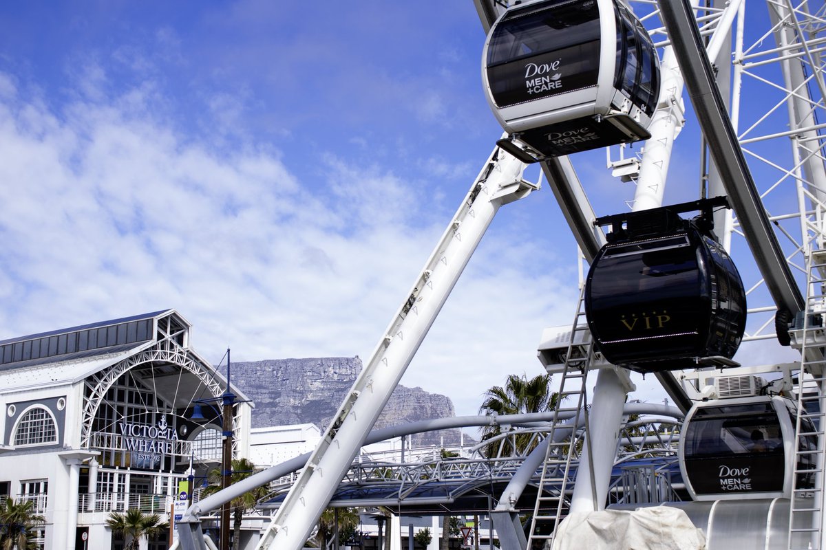 Cape Town Big 6 tweet media