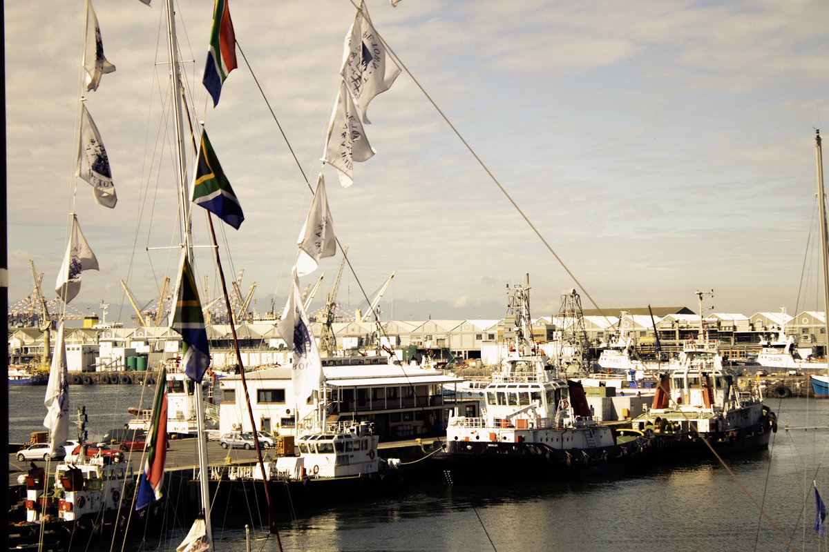 Cape Town Big 6 tweet media