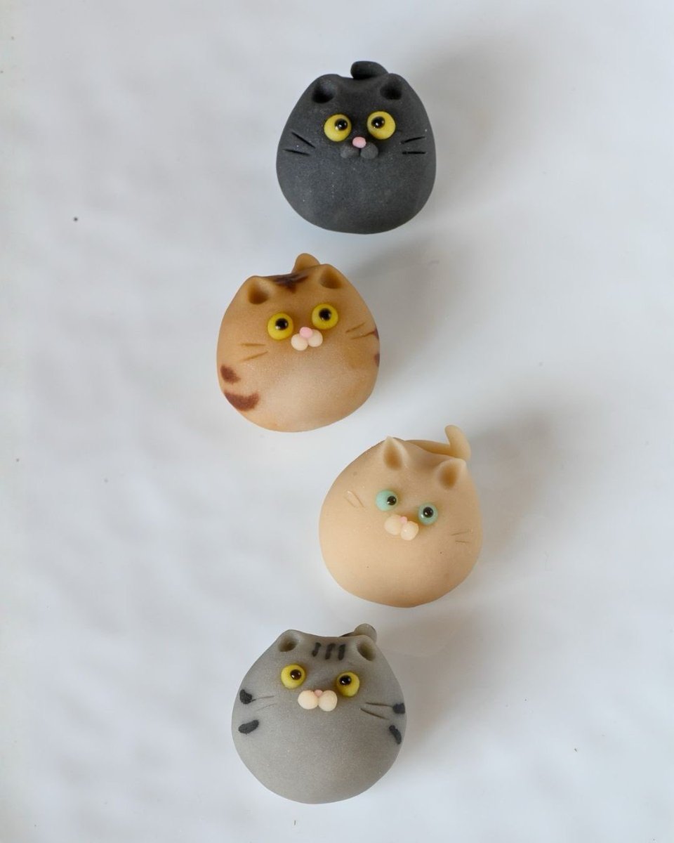 🐾和菓子屋に猫出没🐾

2/22限定
ニャンだこれセット🐱

4匹入り ¥1,700（税抜）
限定20セット

中身もちゃんと違います。
こしあん派？白あん派？

#猫の日2026 #和菓子好きな人と繋がりたい #上生菓子 #猫