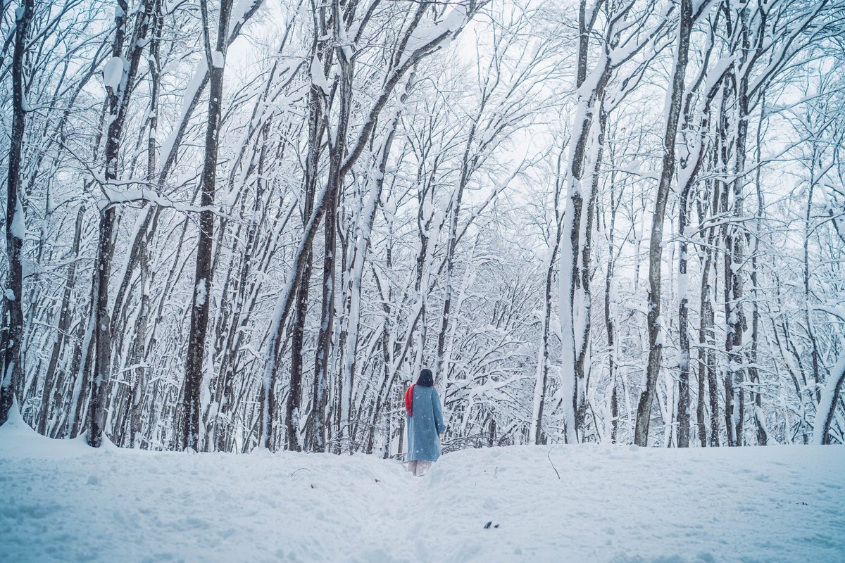 今年はたくさん雪撮影できて満足している