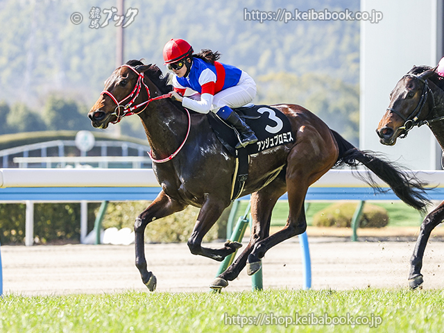 競馬ブックネットSHOP (@keibabookshop) / Posts and Replies / X