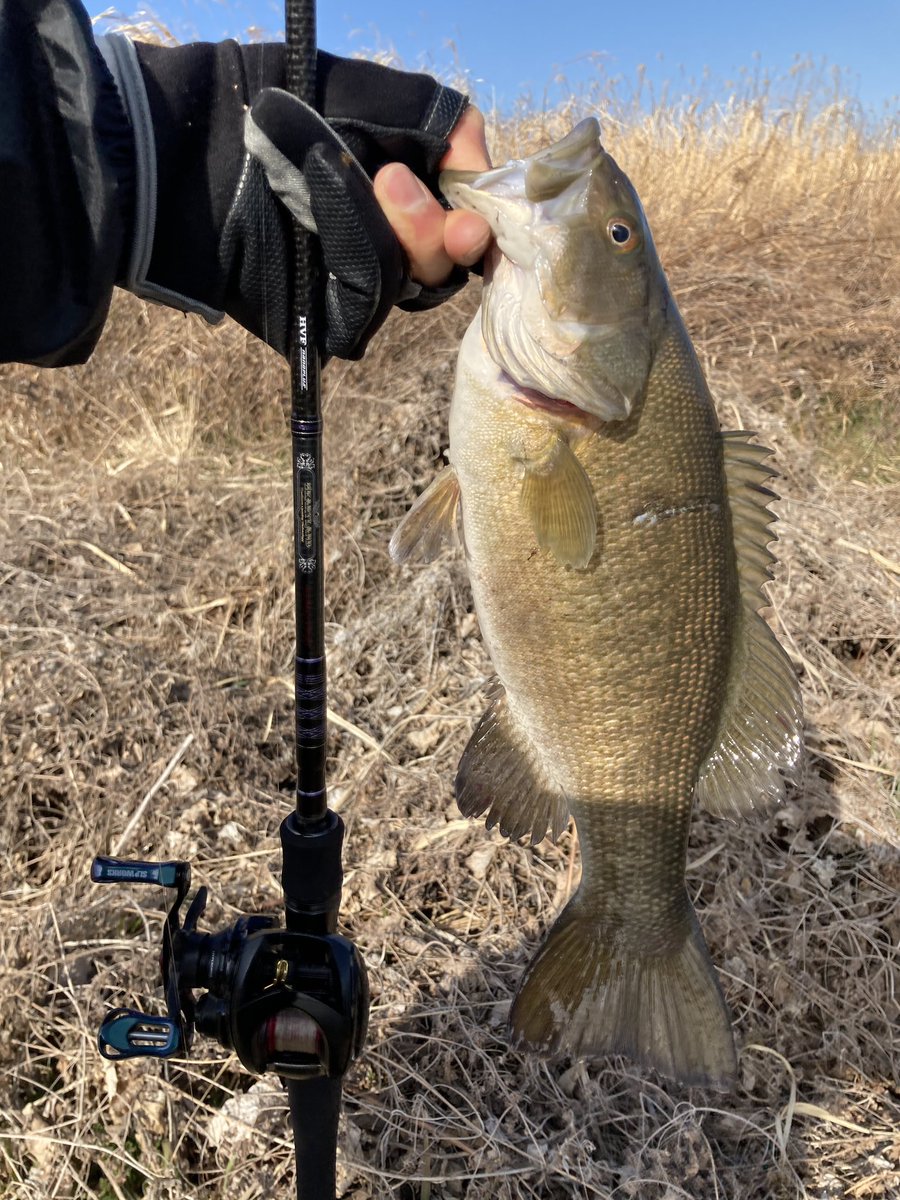 トッシー tweet media