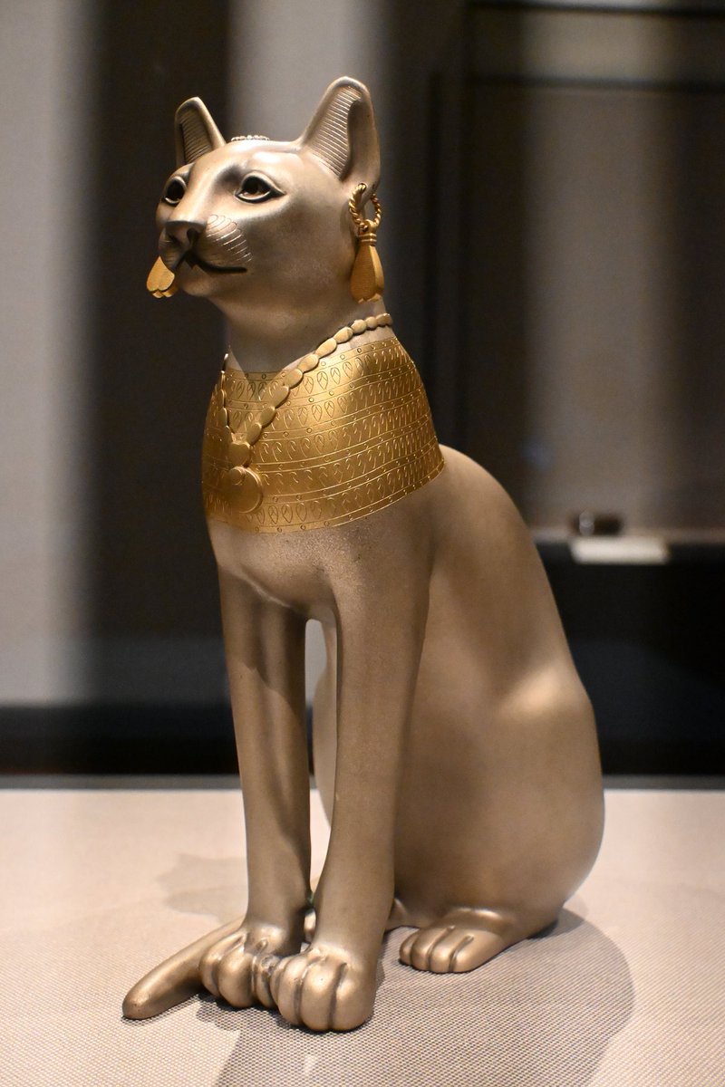 Post by はるにれ on X: 猫猫猫蟹