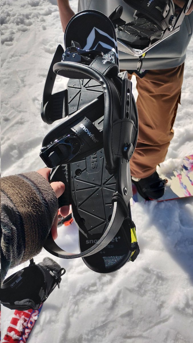 これが噂のスノーフィートか！実物初めて見た. 可愛いけど値段が