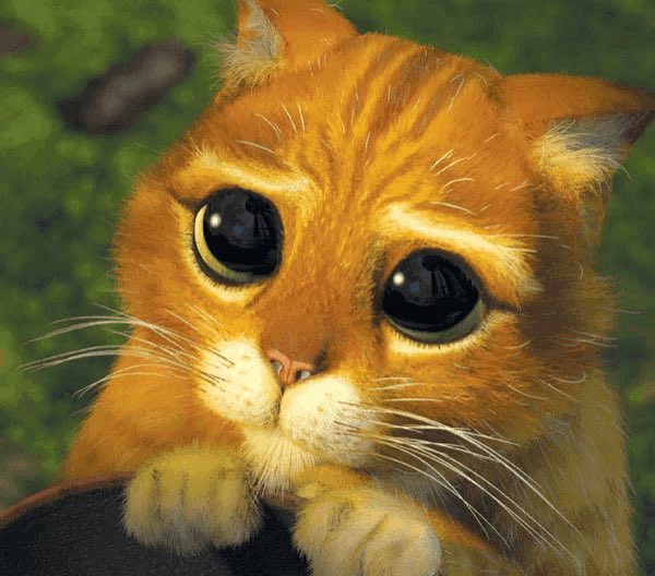 CF กันยังงงงงง ยังใจแข็งอยู่เหรอ ของมันต้องมีแล้วมมน 👀  #FEELQUENCYCollection  #BILLKIN_FEELQUENCY