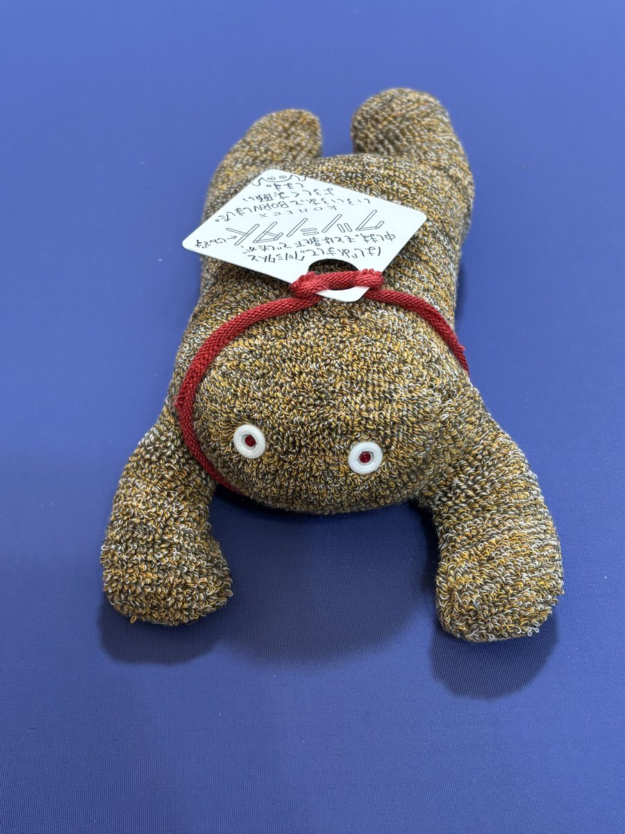 そして、クツシタ人、キター😆😆 クマ友さんが教えてくれたのだけど