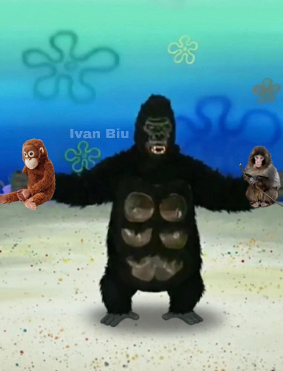 Yo convirtiéndome en un therian para ir al zoológico japonés donde está Punch, y defenderlo de los changos que lo molestan: