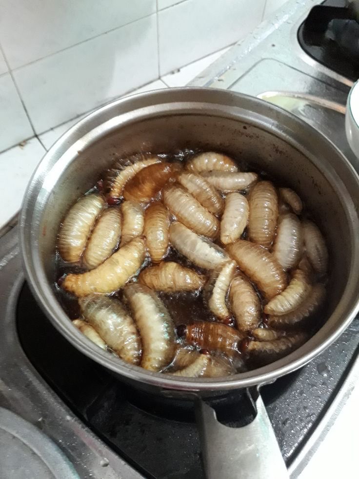 blondssick's tweet photo. gross mukbangs foods  to stop your hunger      ⋆      ｡ﾟ

              a edtwt  thread   🍜

✦  ♡  &amp;  ↺  appreciated    ༊ https://t.co/QQykJ4Kem7