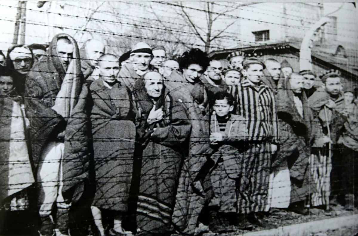 szarekh4's tweet photo. Según estos analfabeta terraplanistas cientos de miles de personas eran actores pagados para hacerse ver como víctimas porque había una piscina en Auschwitz para propaganda nazi de cara a la comunidad internacional.

*Las miles de fotos fueron hechas por IA con grok* https://t.co/emcWRqLDUD
