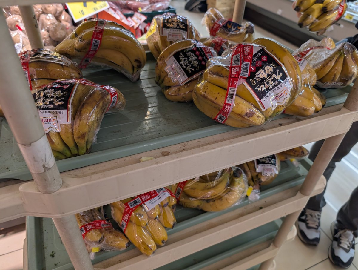 Debitto Lozano // MetAI CEO tweet media