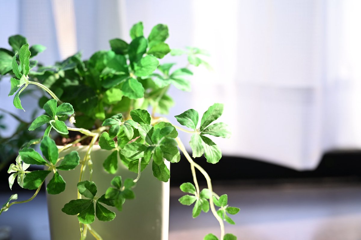 GOTから3月に出る異世界謳歌の3巻の色校が来た ٩( 'ω' )و
タイトルがシルバーに光っててめっちゃかっこいい。 