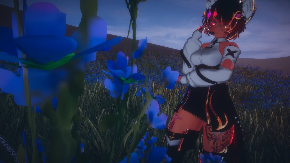 Eh tomado miles de fotos en vr, solo en un cuarto, eh pasado tiempos increíbles sin necesidad de salir de mi cuarto me encerré muchas veces y siendo sincero ya me eh mudado muchas veces solo, pero siento que esta vez es distinta a las demás como mencione eh vivido mil aventuras