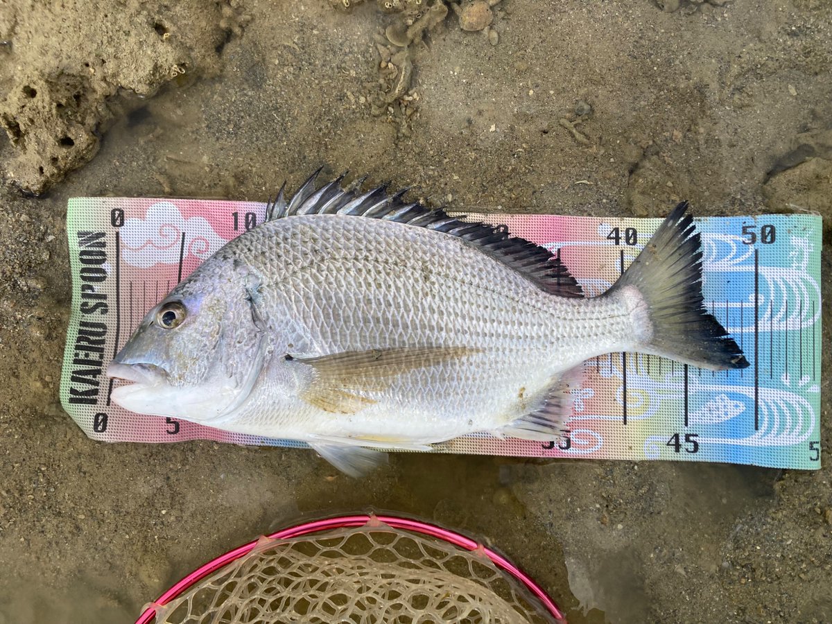 ジグザグ。 (@4939xxx) / Posts / X