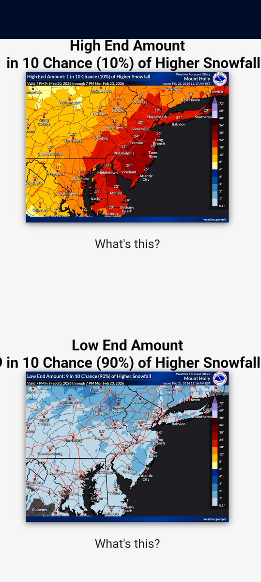 Joshua Pringle tweet media
