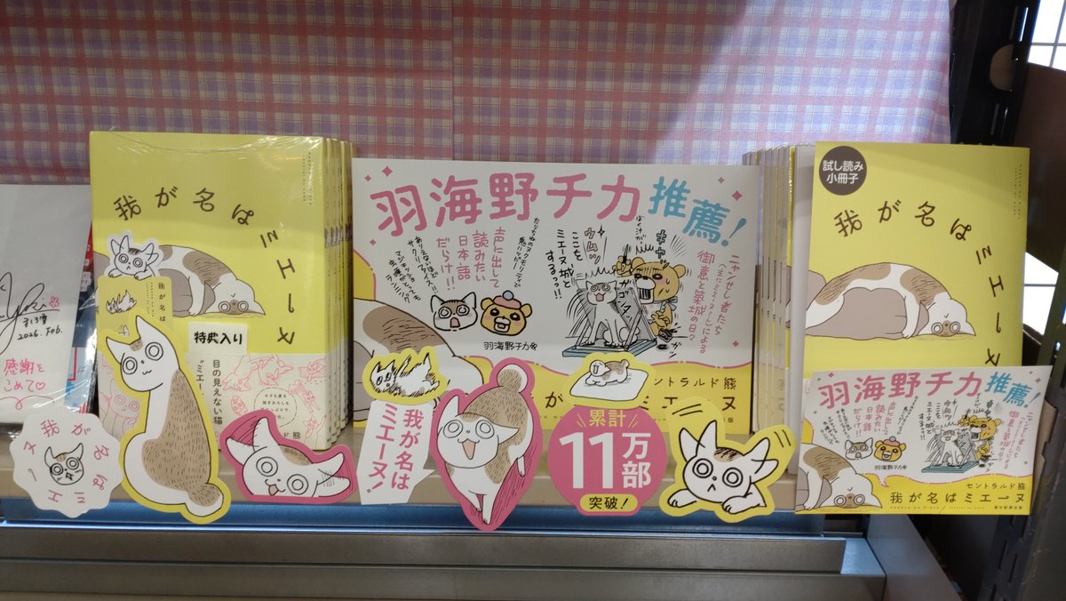 明日2/22は🐱ねこの日ですね！ 只今、当店で ＃朝日新聞出版