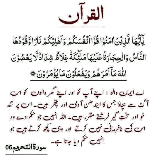 тαѕℓєєм αѕιм🇵🇰 tweet media