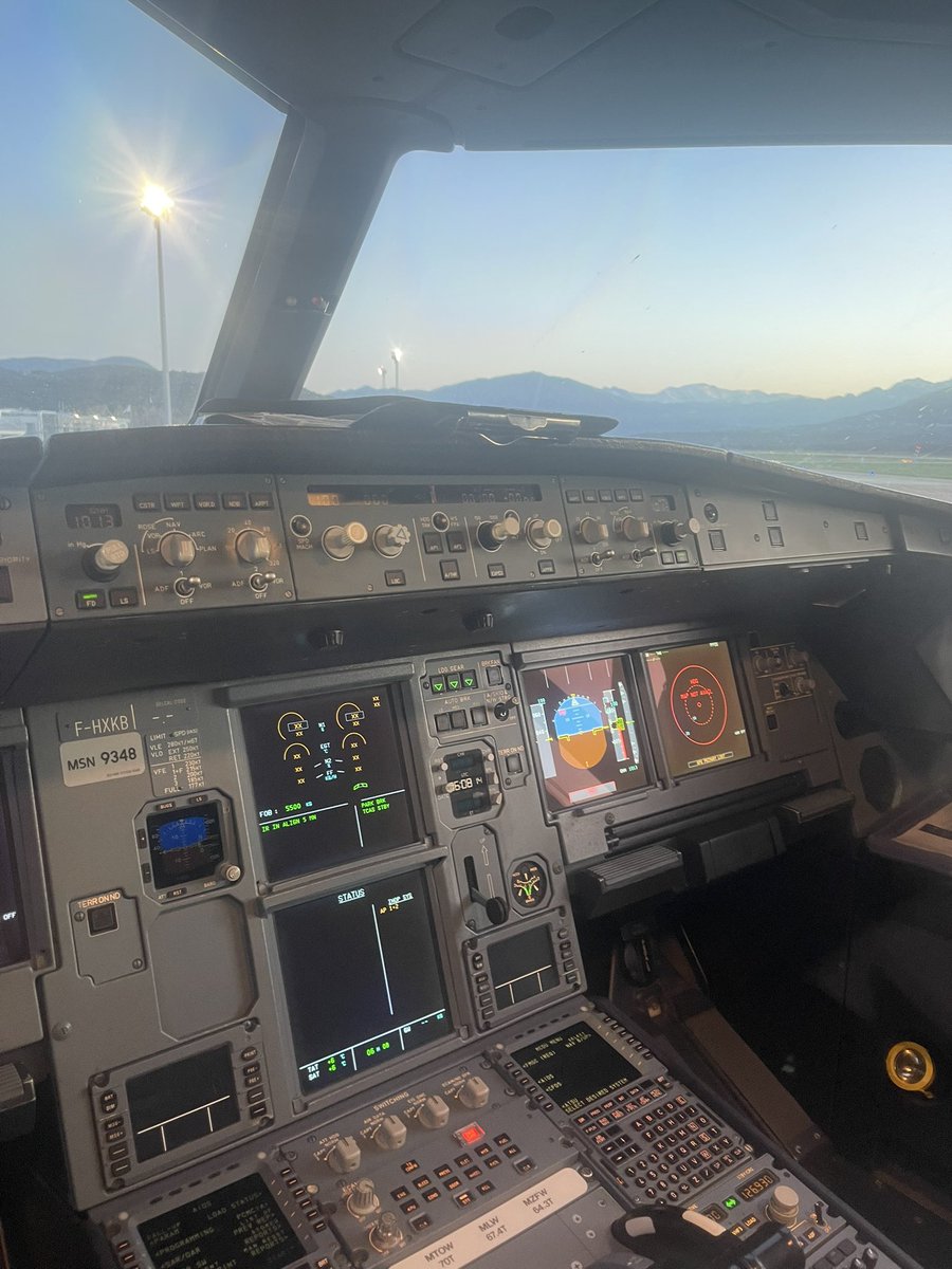 Niculaiu Antona Olivieri tweet media