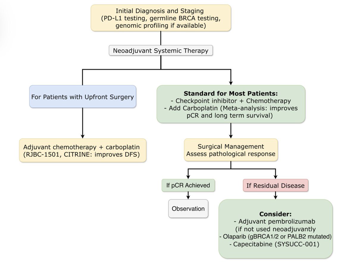 ISMAILIN1978's tweet photo. TNBC treatment is now highly biomarker-driven. ✅
Neoadjuvant: Chemo + IO + Carboplatin is the backbone.
Adjuvant: Residual disease?
➡️ gBRCA mut? → Olaparib
➡️ gBRCA wt? → Capecitabine
Long-term survival is the goal. (GeparNuevo, KEYNOTE-522 updates). https://t.co/3mLXfZCrFE https://t.co/mt4TOrmDBm